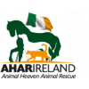 Animal Heaven Animal Rescue